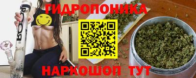 гашик Свободный