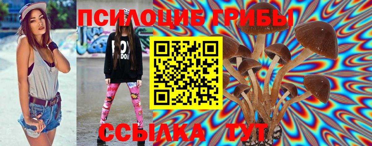 Петропавловск-Камчатский  Псилоцибиновые грибы Magic Shrooms  Вход с VPN  Галлюциногенные грибы GOLDEN TEACHER 